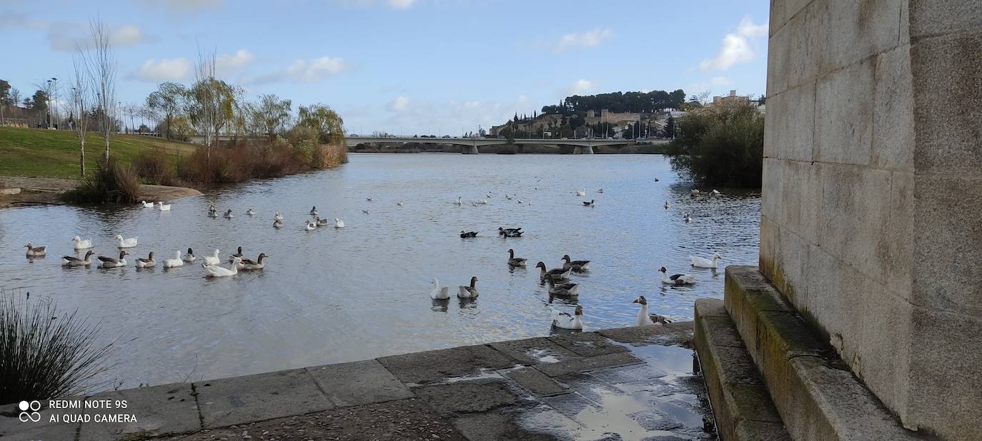 Fotos: Guadiana, el río que nos une (II)
