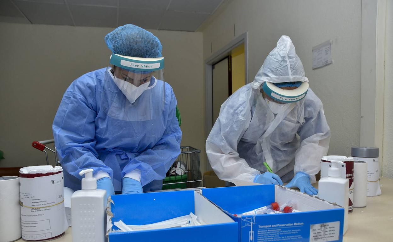 Realización de pruebas PCR. 