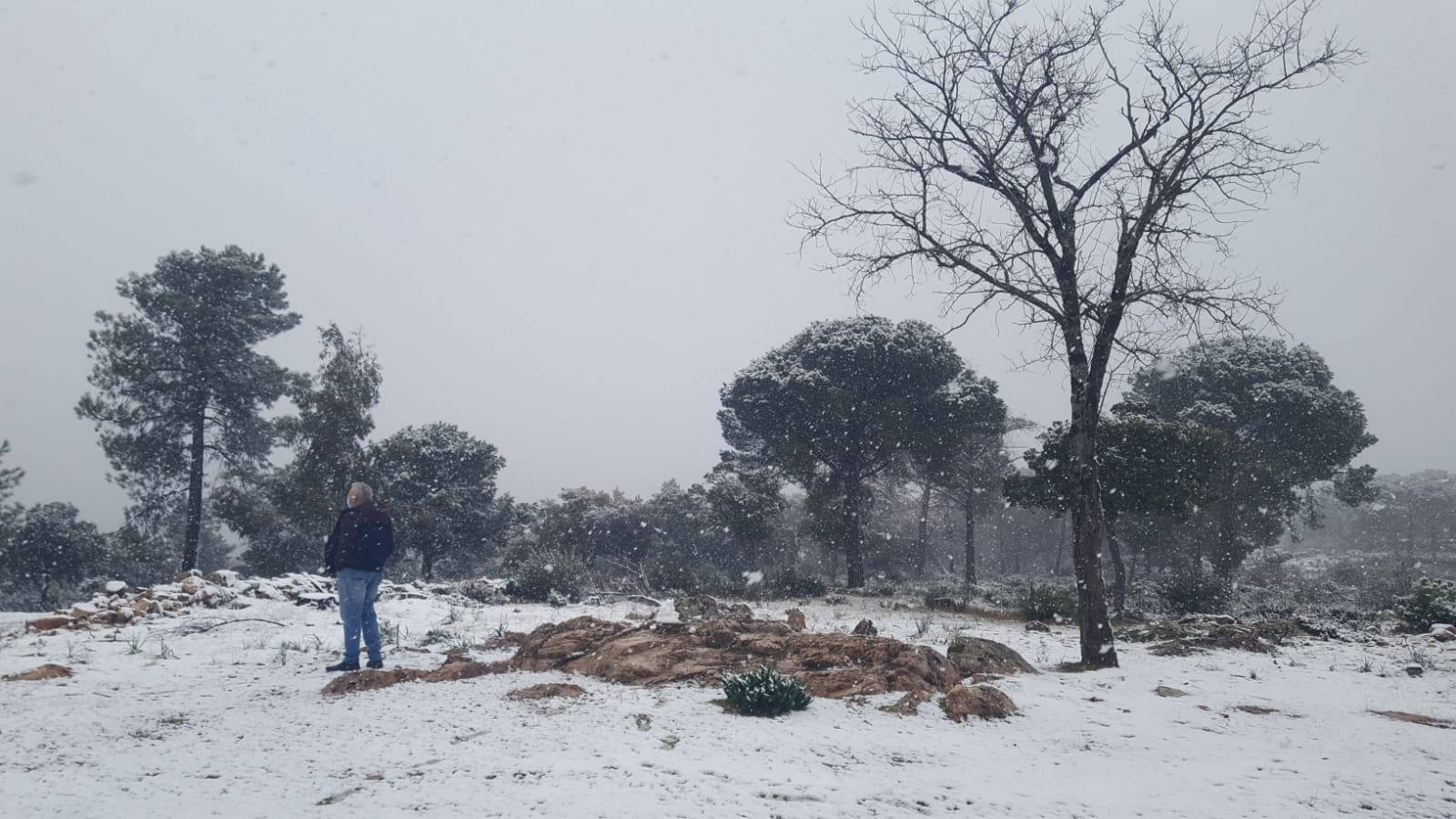 Helechosa de los Montes