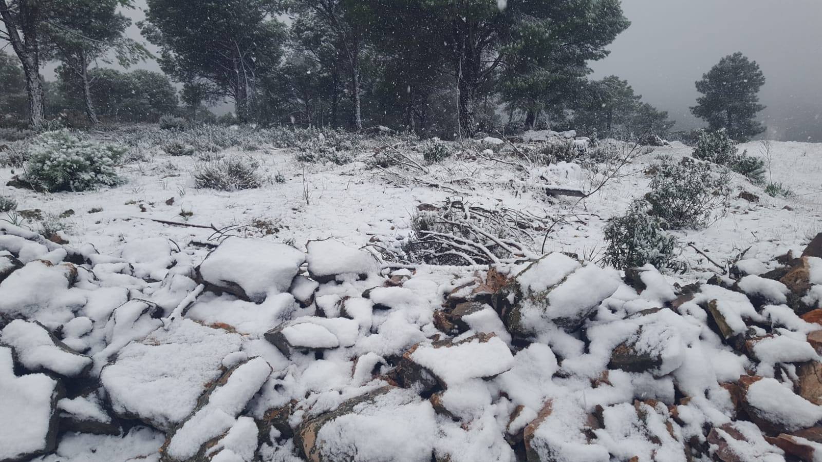 Helechosa de los Montes