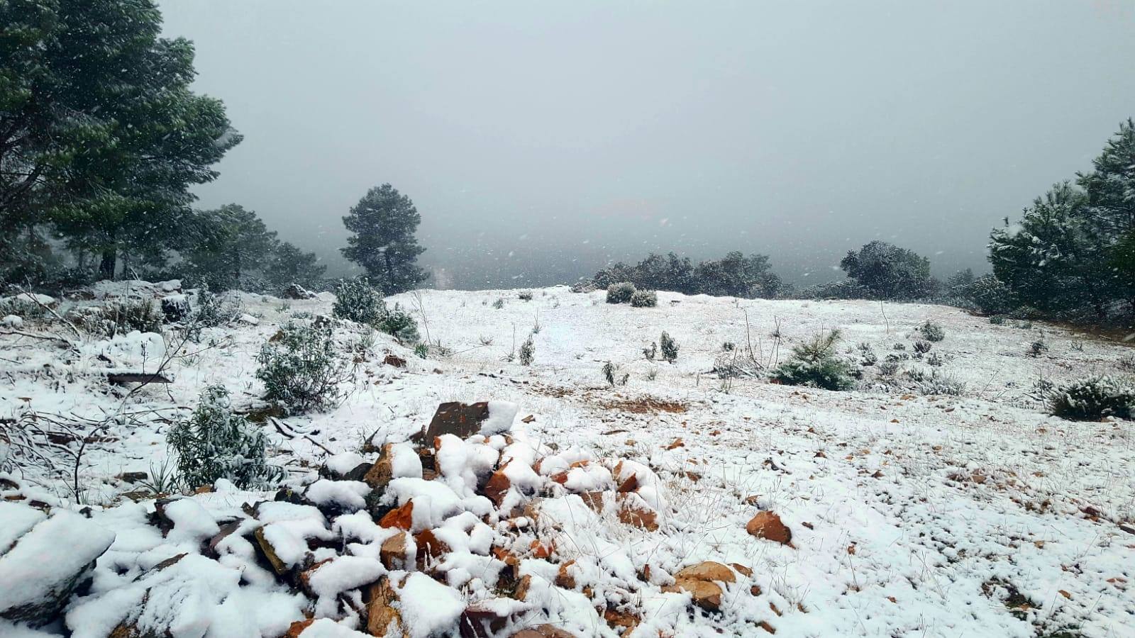 Helechosa de los Montes