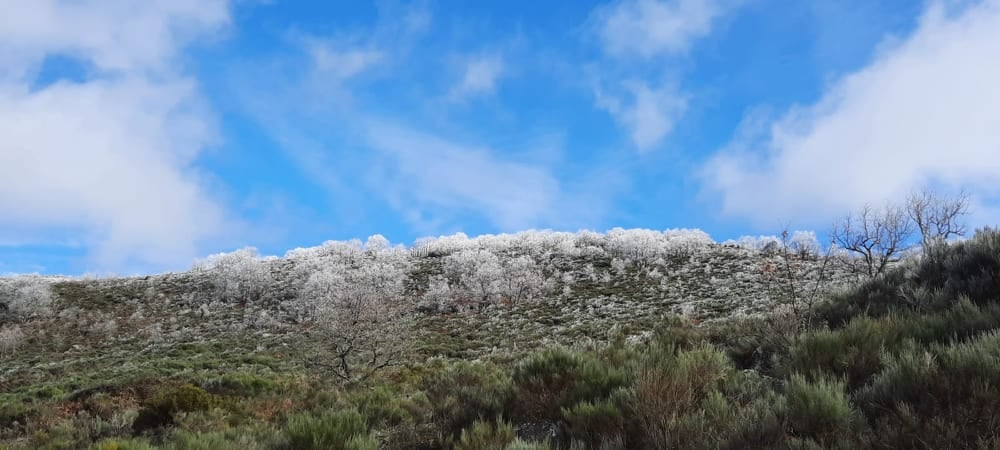 Las Jañonas, en la Sierra de Gata. 