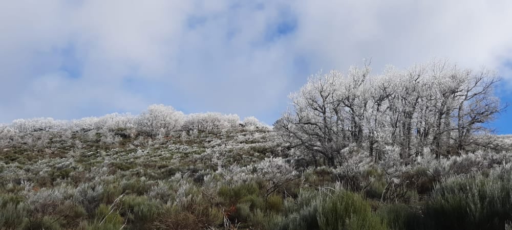 Las Jañonas, en la Sierra de Gata. 