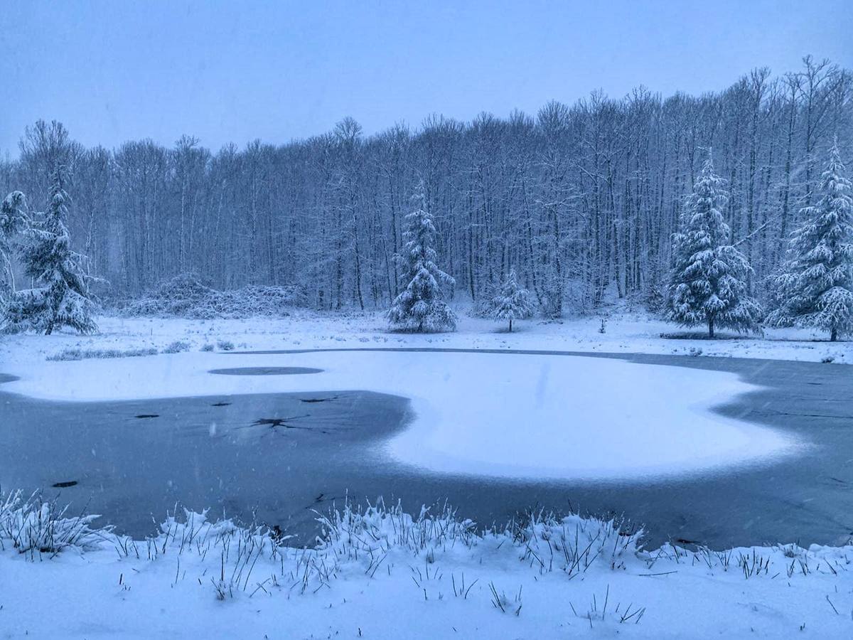 Nieve en la Finca El Dehesón. Charca de la finca al lado De la Fuente Potargo