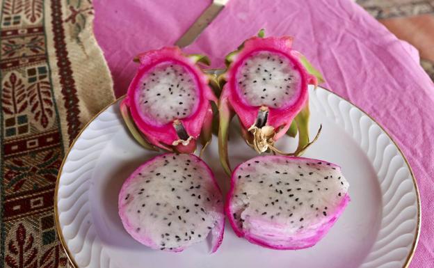 En la imagen, pitahaya de la variedad Undatus.