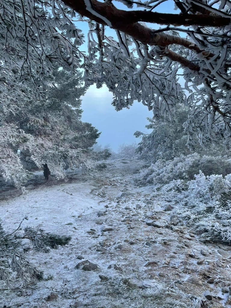 Nieve en la Finca El Dehesón. Charca de la finca al lado De la Fuente Potargo