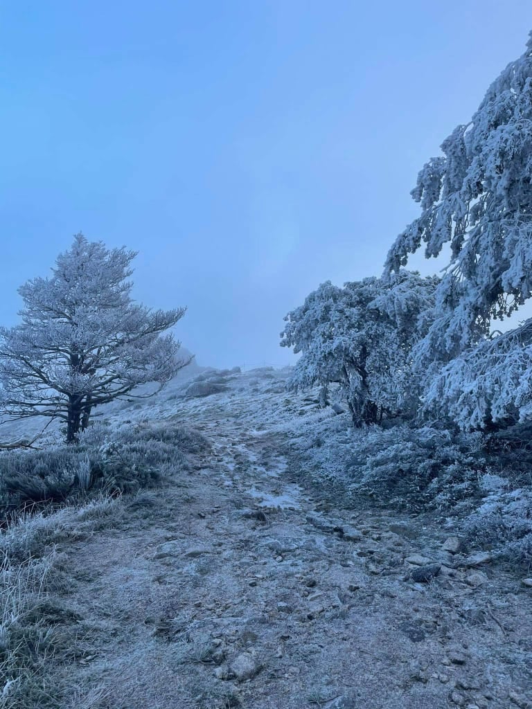 Nieve en la Finca El Dehesón. Charca de la finca al lado De la Fuente Potargo