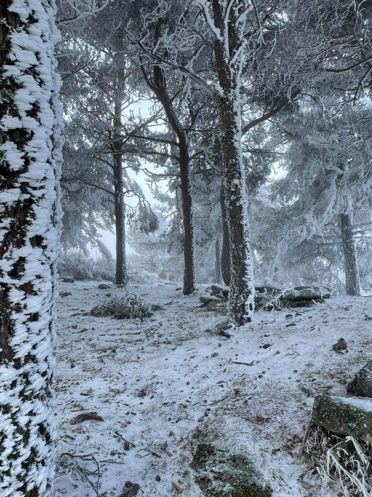 Nieve en la Finca El Dehesón. Charca de la finca al lado De la Fuente Potargo