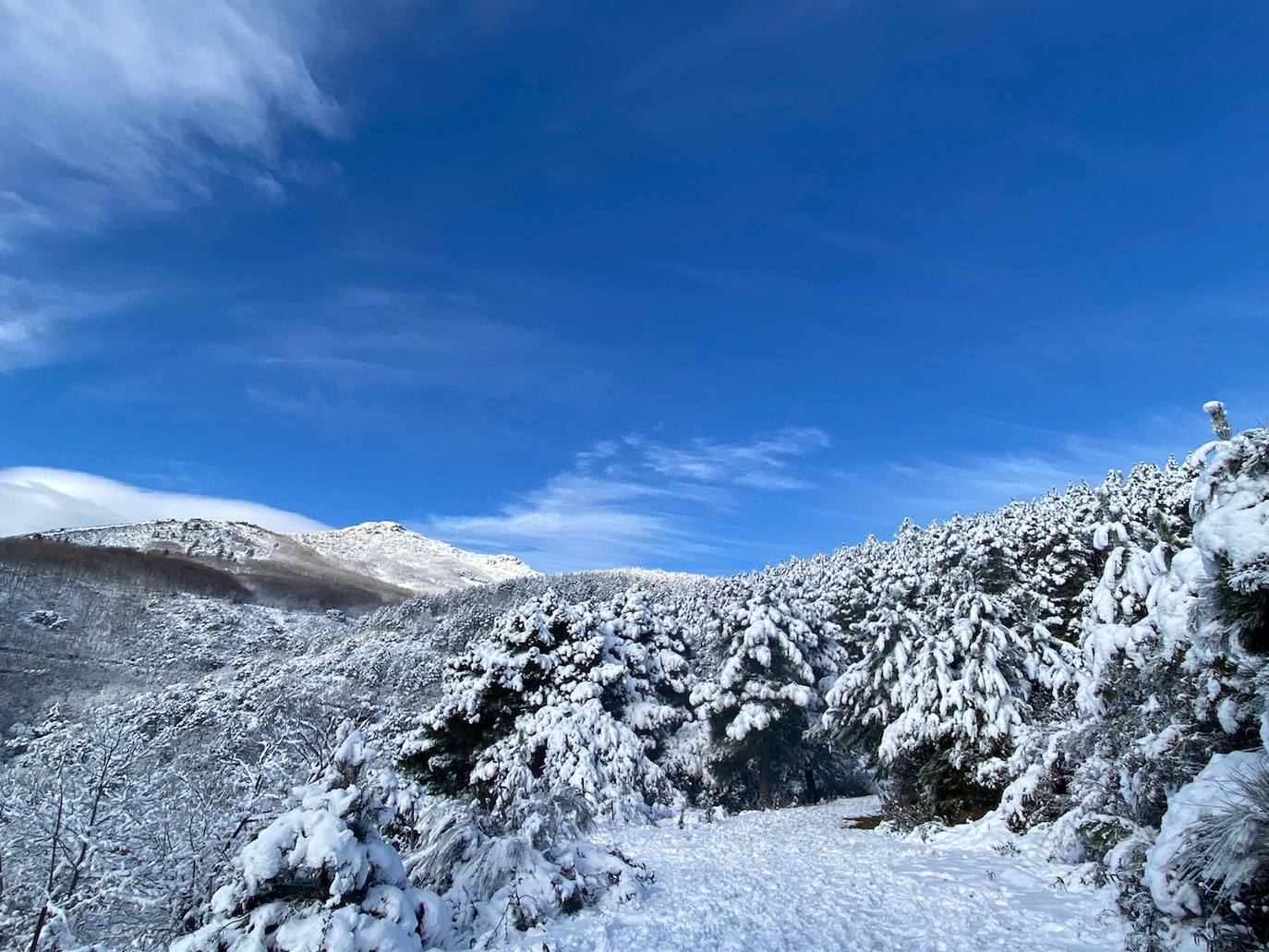 Arco del agua de Guadalupe. 