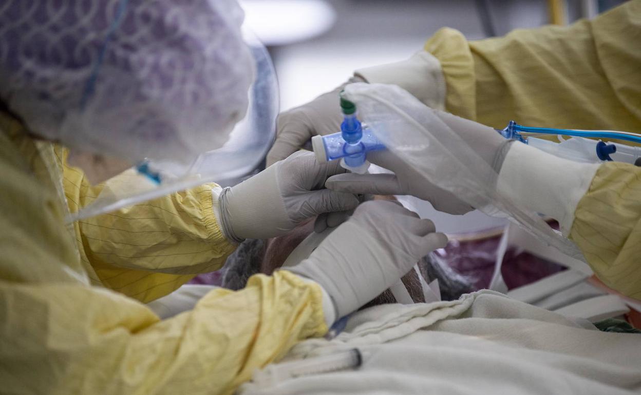 Coronavirus en Extremadura | Badajoz y Plasencia son hoy los municipios que más casos comunican