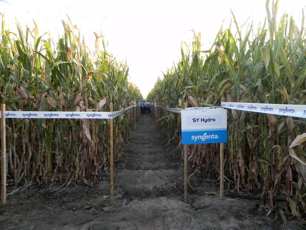 Entrada a la explotación donde se investiga. 