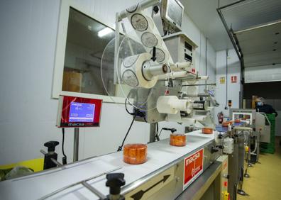 Imagen secundaria 1 - Arriba, leche fresca que llega cada día de las explotaciones de la comarca. Abajo, envasado final de los quesos y Mario Blasco, con lagunos de los quesos que elabora en su quesería. 