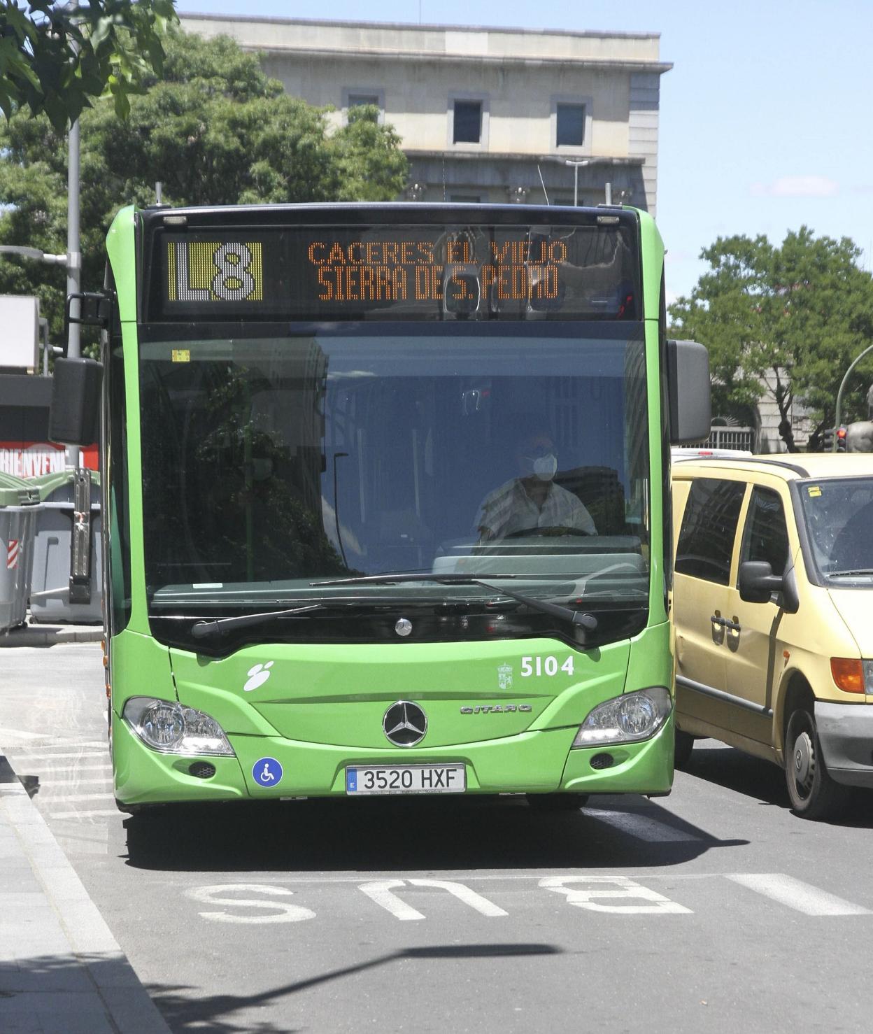 Bus de la línea 8, que perdió alrededor de 344.000 usuarios. 