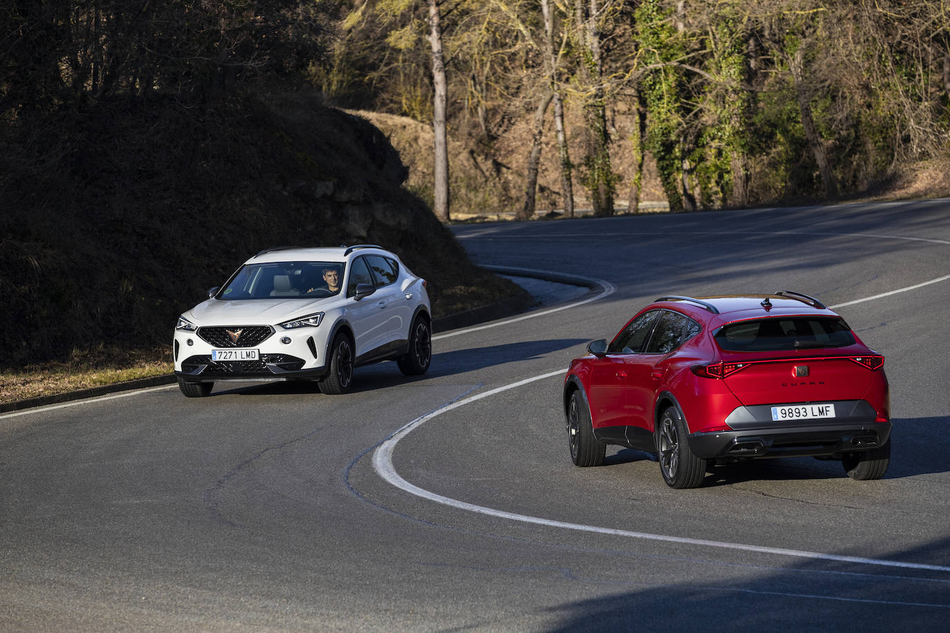 Fotos: Fotogalería: así es el Cupra Formentor más barato