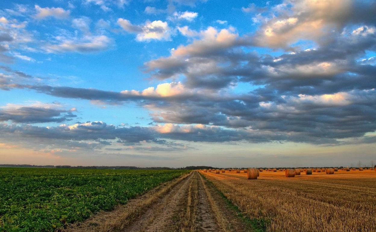 Plataforma Tierra: la herramienta para agricultores y empresarios del siglo XXI