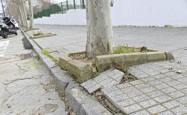 La autopista (Juan Sebastián Elcano) delante del colegio Leopoldo Pasrtor Sito