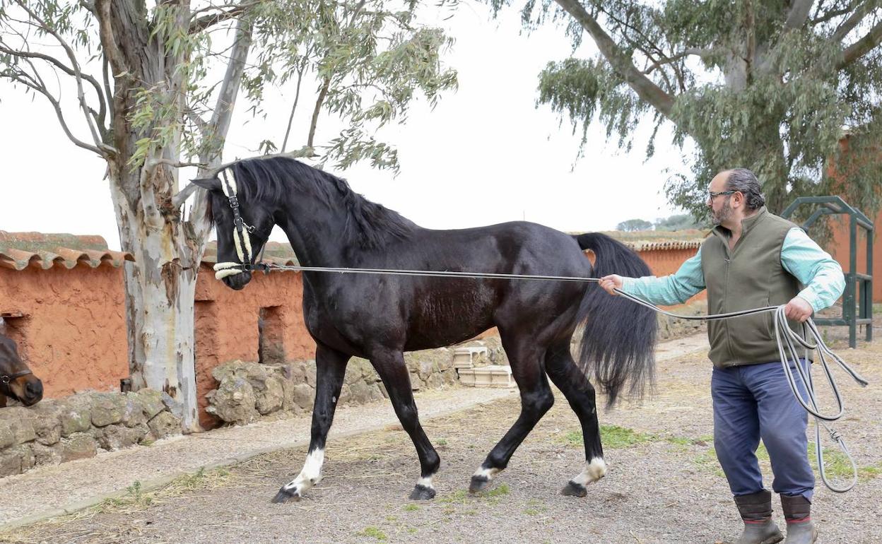 Fernando Molina, ganadero de Mérida, junto a uno de sus caballos.