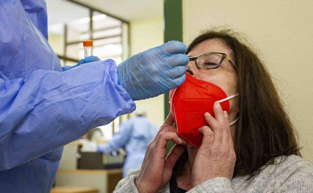 Cribado masivo de coronavirus realizado por el SES en Cáceres. 