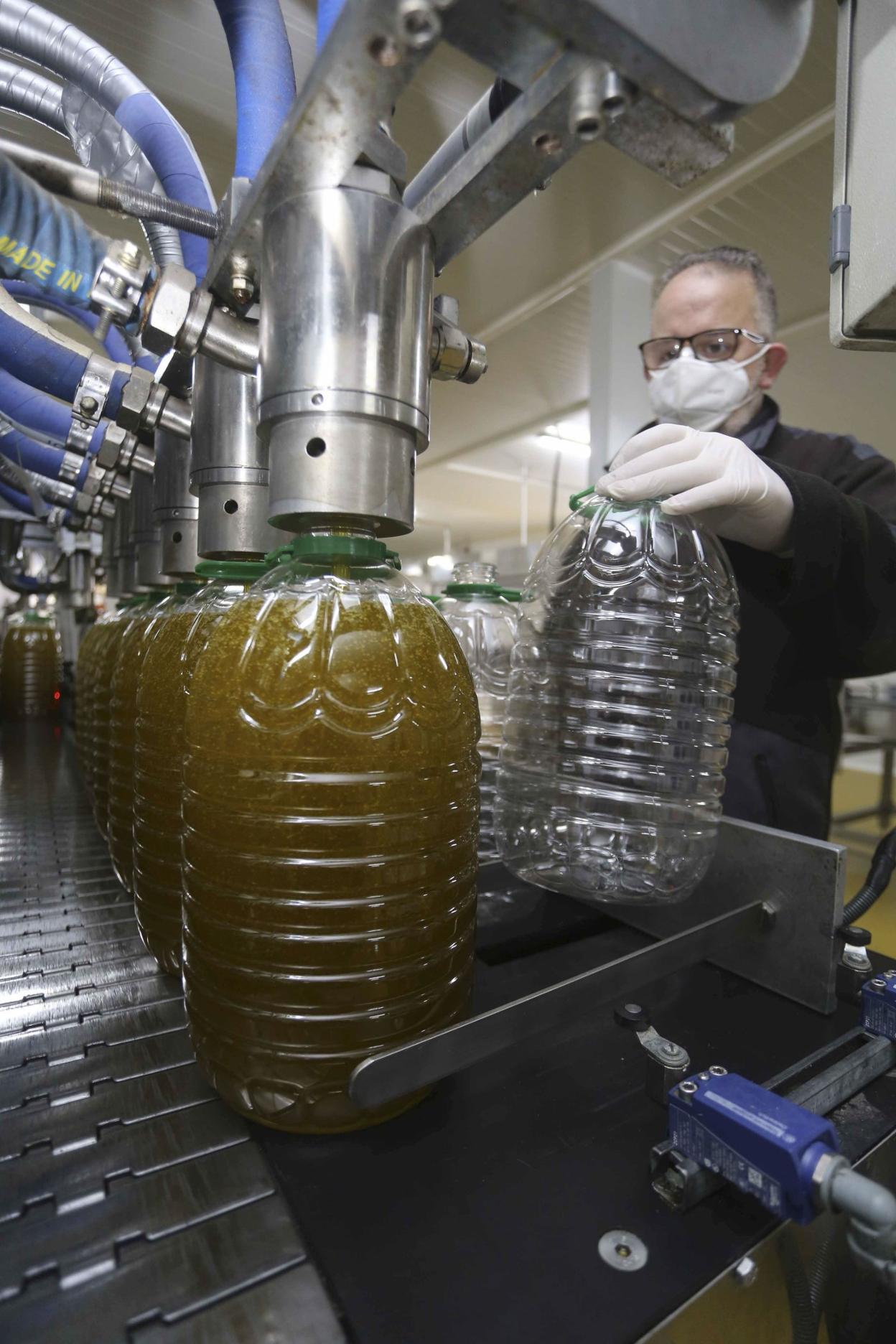 La transformación es clave en el desarrollo de las cooperativas. 