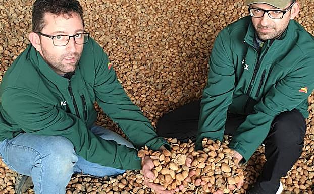 Francisco José y Jesús muestran la almendra de la última cosecha. 