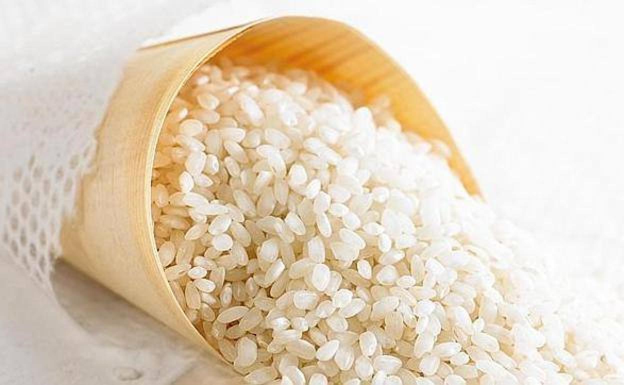 El sector arrocero pide a la UE que prorrogue las cláusulas de salvaguardia sobre el arroz de países terceros