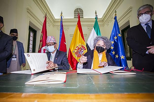 16 ceremonias en los templos del mundo y semillas del pipal original