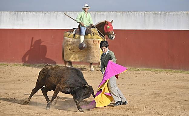 Jorge Hurtado con su capote ante una becerra