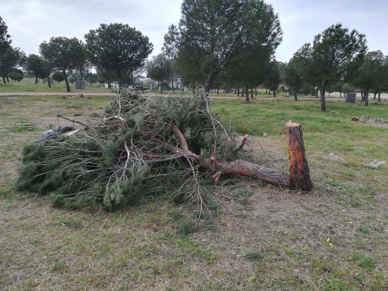 Denuncian actos vandálicos en la zona en dos fines de semana. 