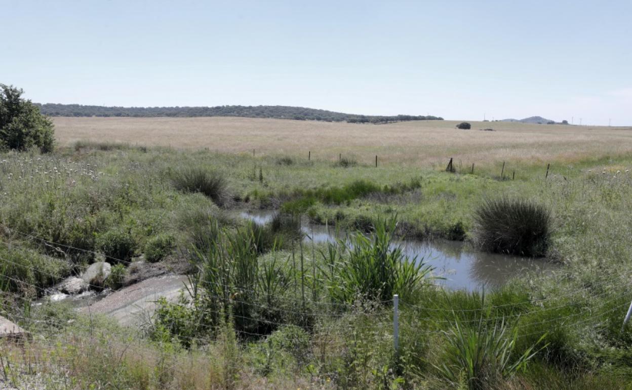 Imagen de archivo con vertidos en las inmediaciones de otra depuradora, la de la N-521. 