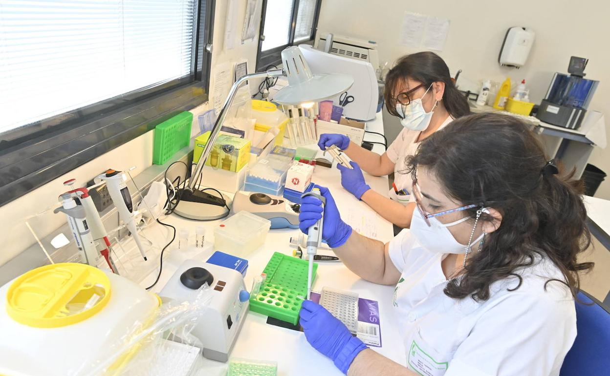 Laboratorio de Microbiología del Hospital Universitario de Badajoz, donde se secuencian las muestras sospechosas de pertenecer a una variante.