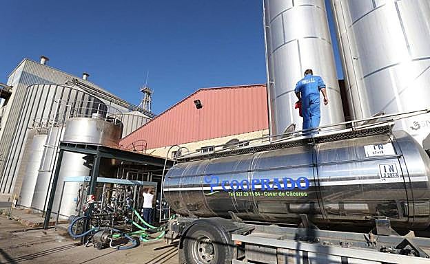 Camión cisterna cargado de leche en la cooperativa Cooprado.