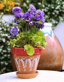 Imagen secundaria 2 - La Taberna del Loco, especialistas en carnes maduradas