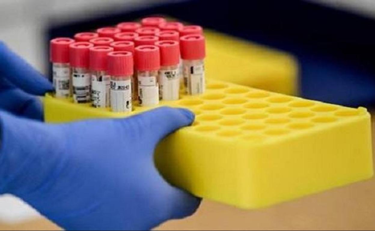 Coronavirus en Extremadura: La incidencia sigue empeorando en Badajoz, donde hay 12 brotes con casos activos