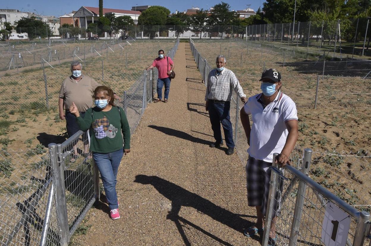 Algunos pacenses estrenaron ayer su huerto urbano. 