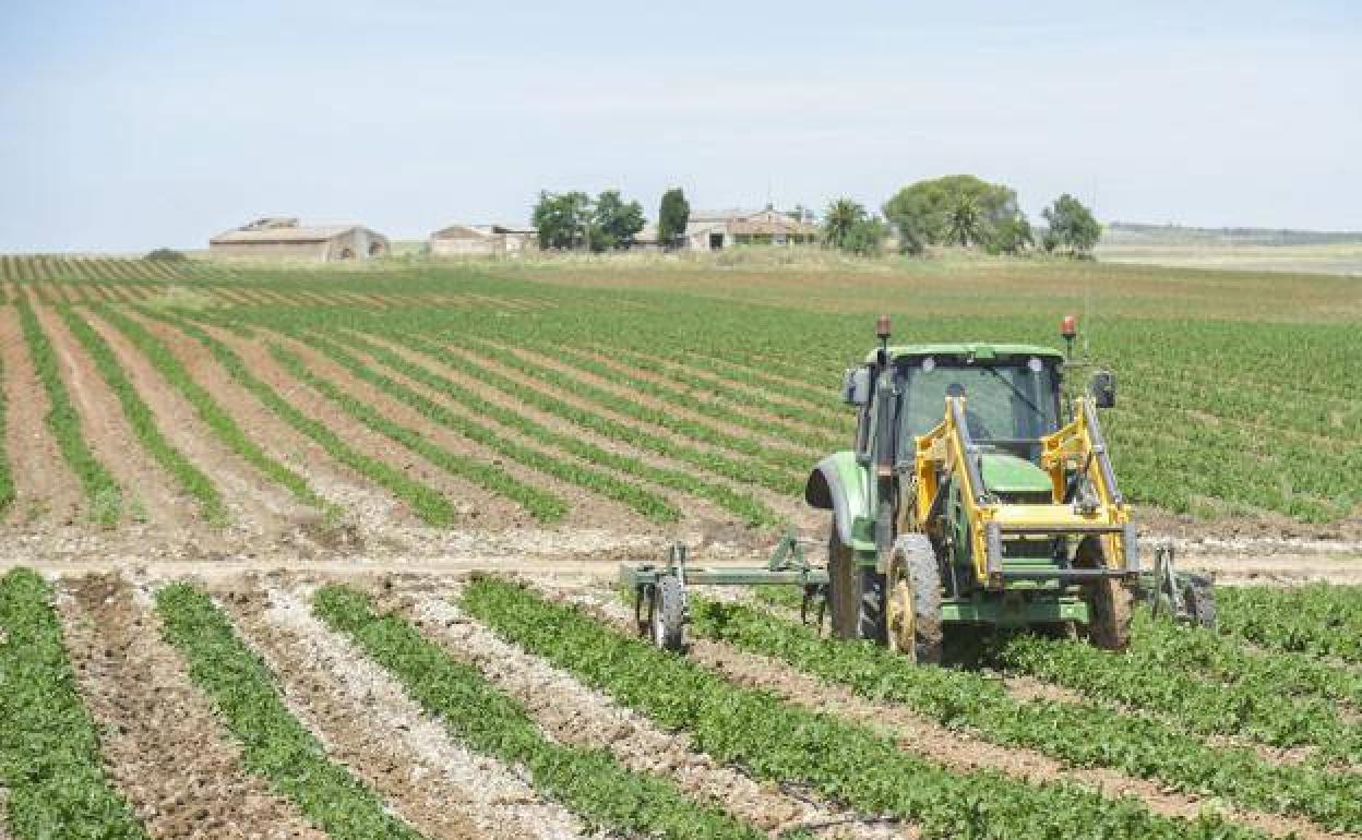 Con la renovación de los tractores se pretende que haya más seguridad y menos emisiones.