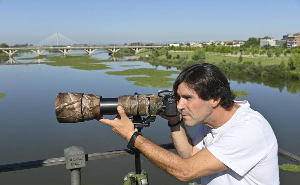 Su cámara de camuflaje le permite observar la naturaleza sin molestar a los animales. 