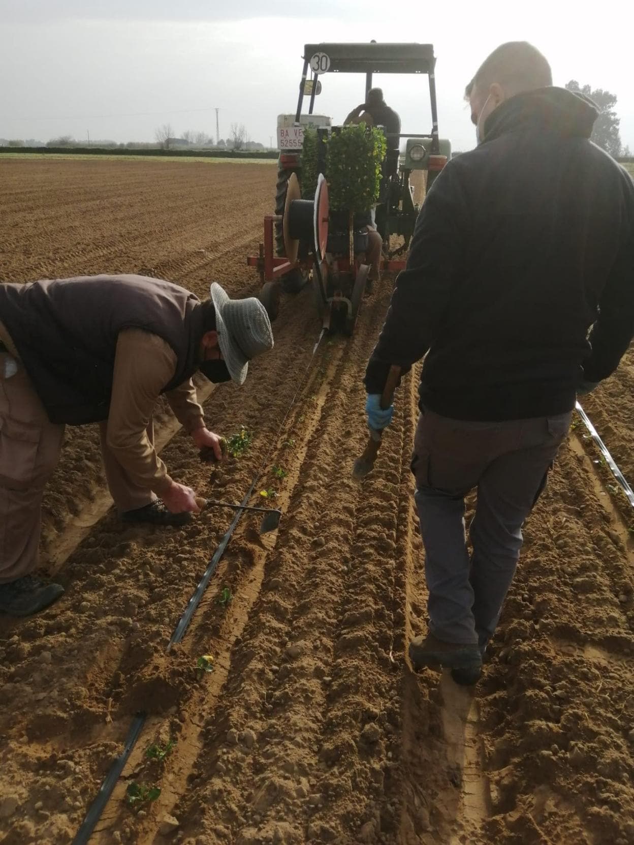 Actividad del proyecto en el campo. 