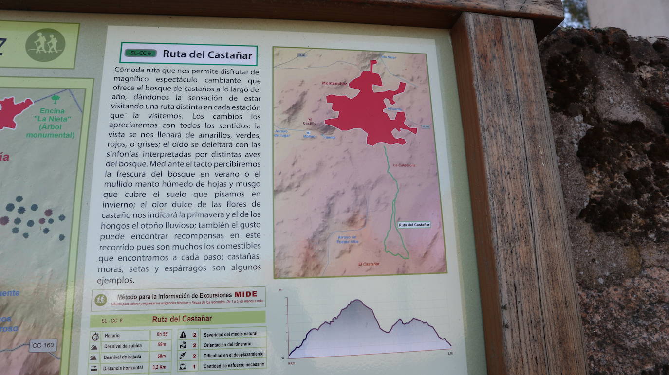 Fotos: Ruta del Castañar de Montánchez