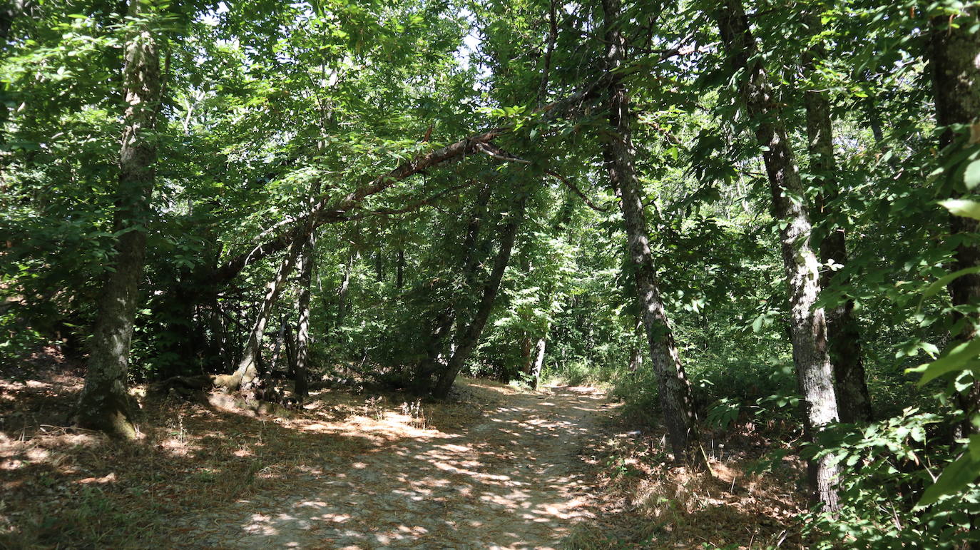 Fotos: Ruta del Castañar de Montánchez