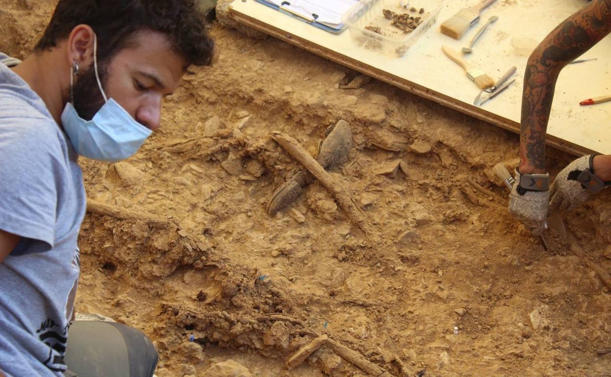 Restos humanos de represaliados hallados en la fosa del cementerio de la localidad pacense. 