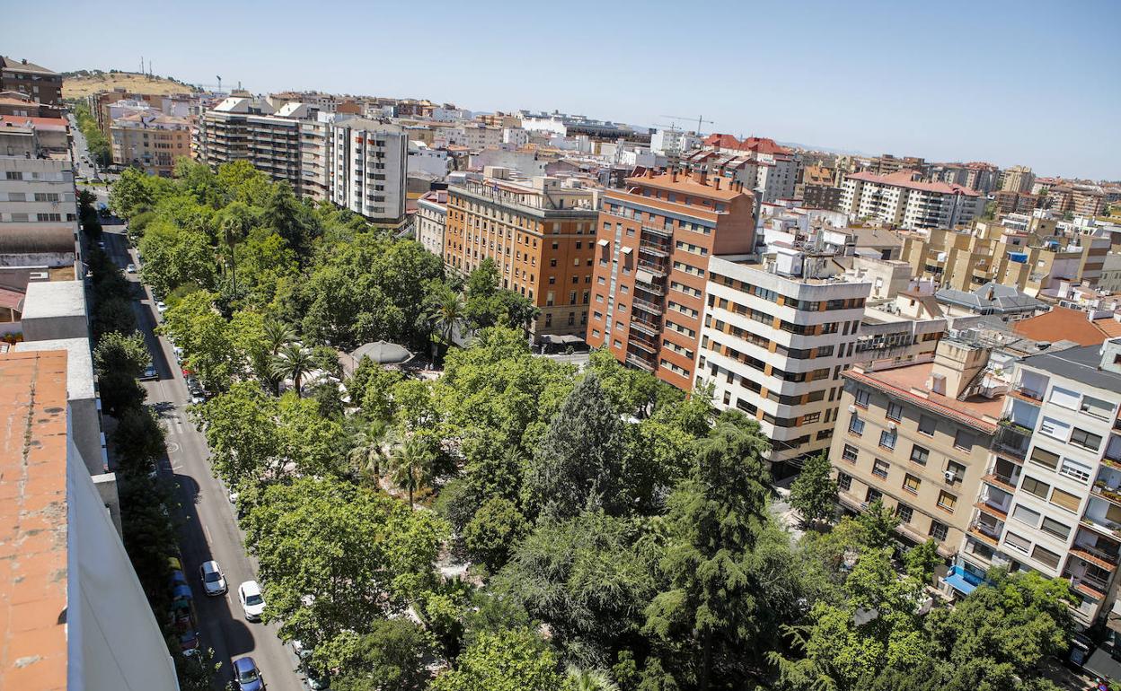 La frondosa arboleda del Paseo de Cánovas vista desde una azotea. 