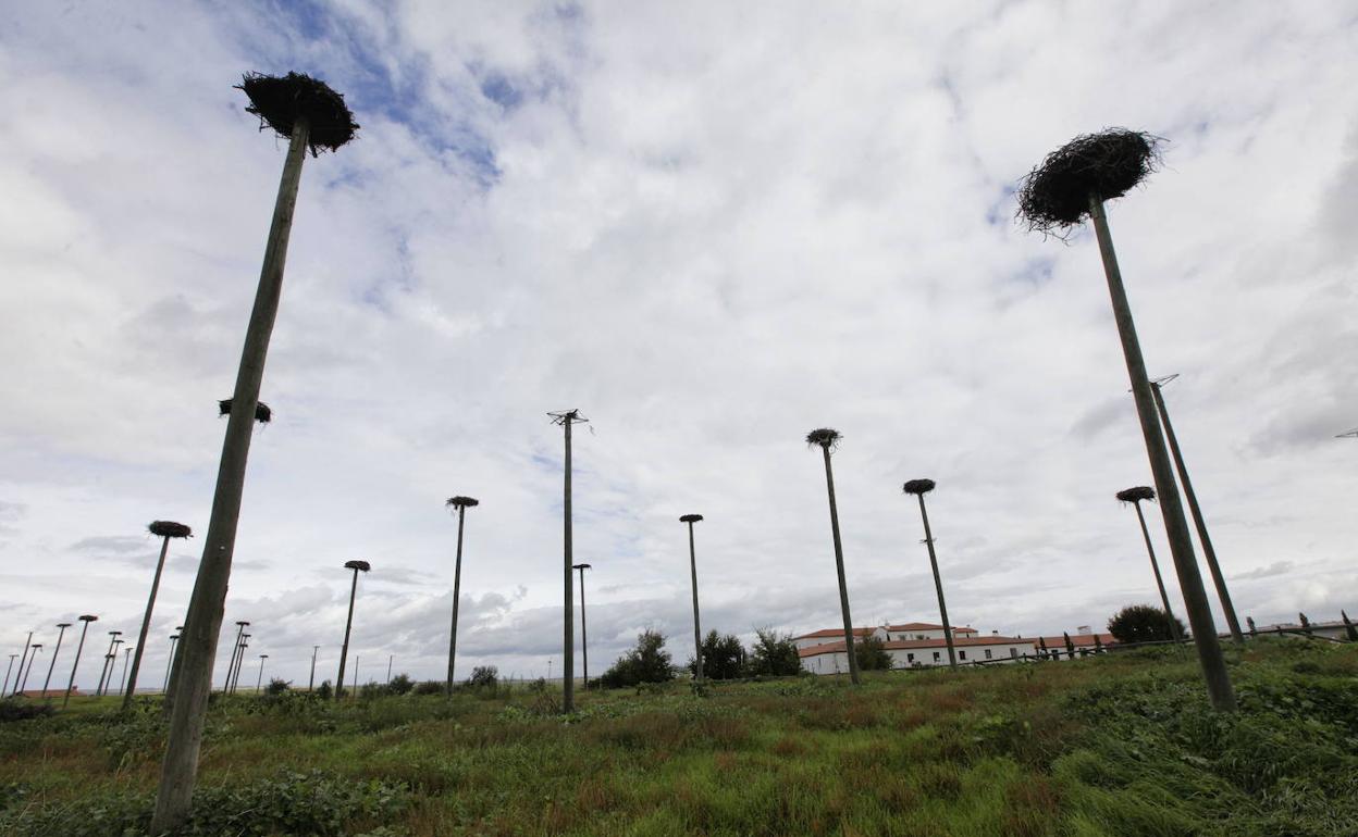 Zona de los Arenales, próxima a los terrenos en los que se quiere ubicar el aeródromo. 