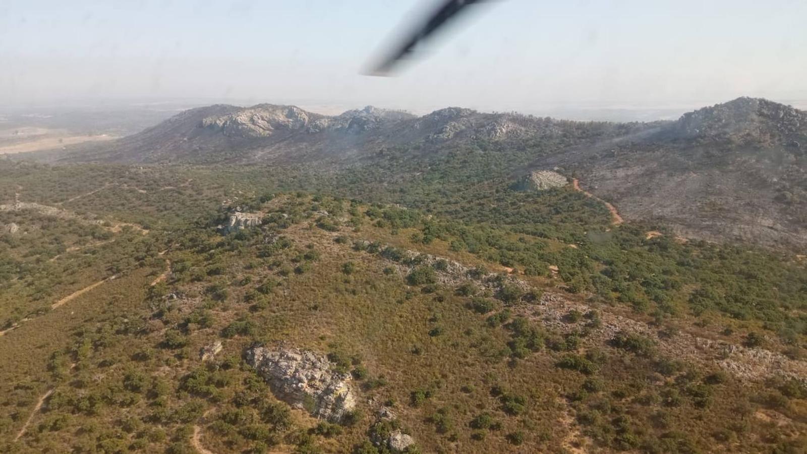 Fotos: Imágenes del incendio originado este miércoles cerca de Alburquerque