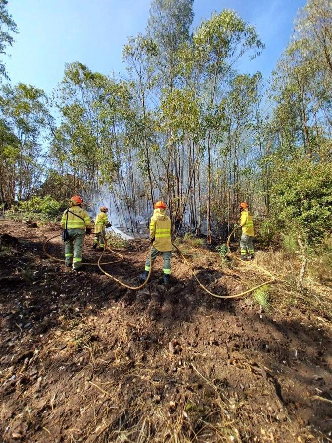 Fotos: Imágenes del incendio originado este miércoles cerca de Alburquerque