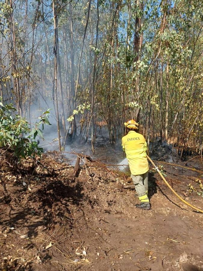 Fotos: Imágenes del incendio originado este miércoles cerca de Alburquerque