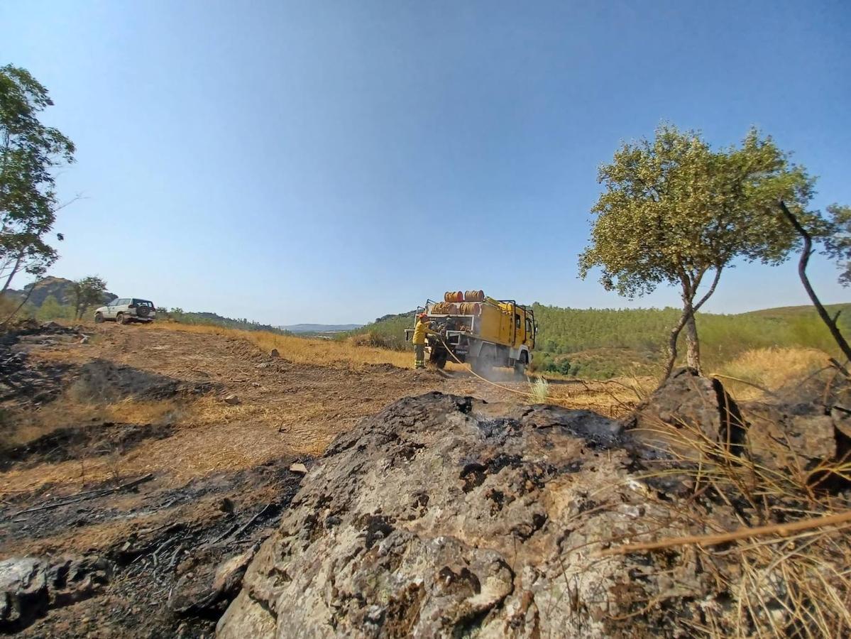 Fotos: Imágenes del incendio originado este miércoles cerca de Alburquerque