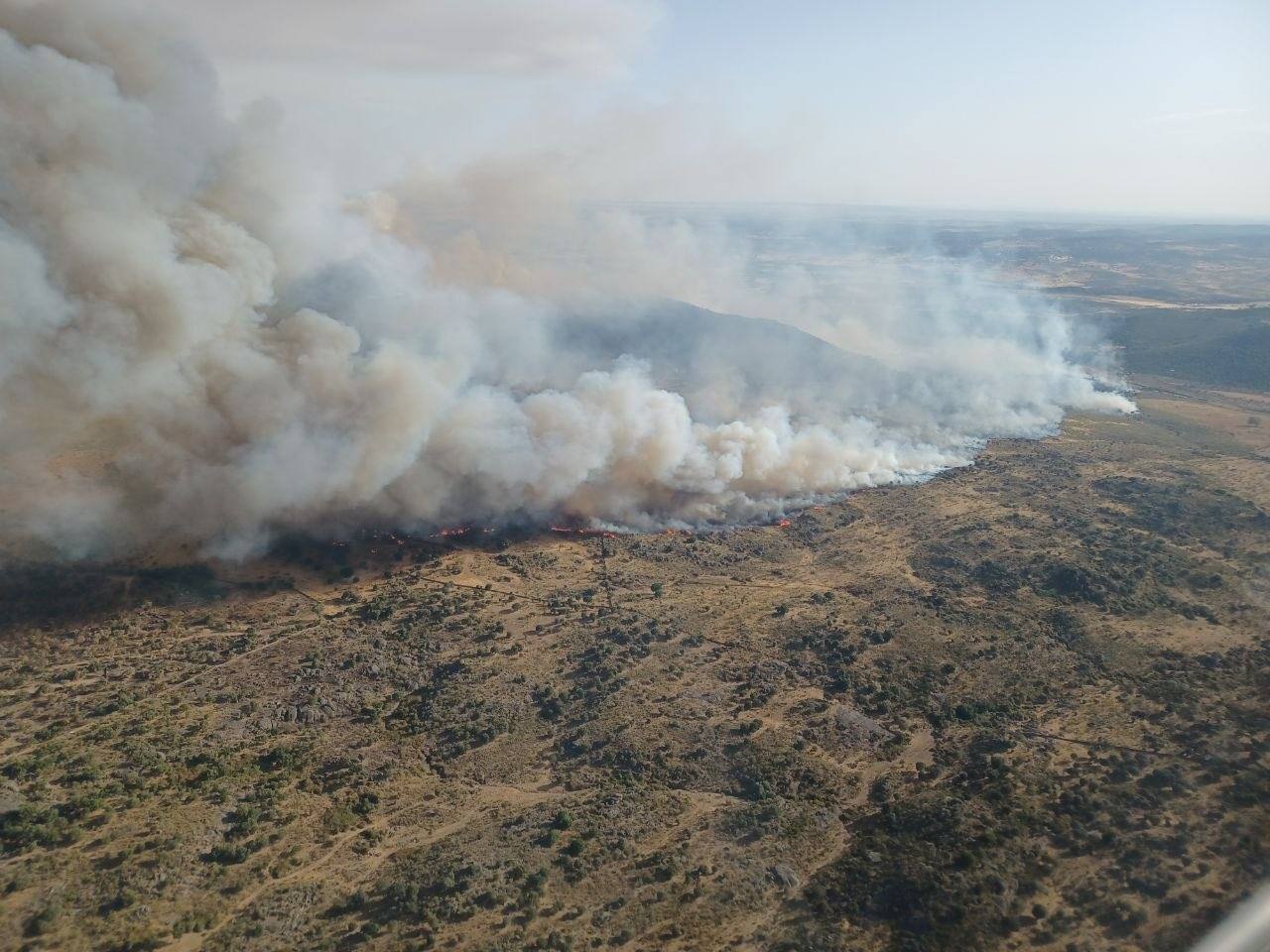 Fotos: Imágenes del incendio originado este miércoles cerca de Alburquerque