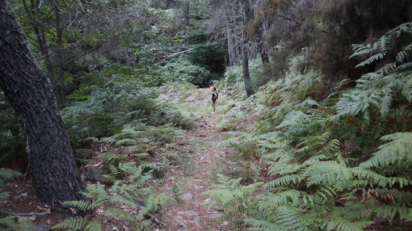Esta calzada romana no es tan bien conservada como la del puerto de Santa Clara, en la misma comarca y que parte de San Martín de Trevejo. Esta ruta de Robledillo de Gata es igualmente interesante pero mucho más solitaria, de un encanto especial.