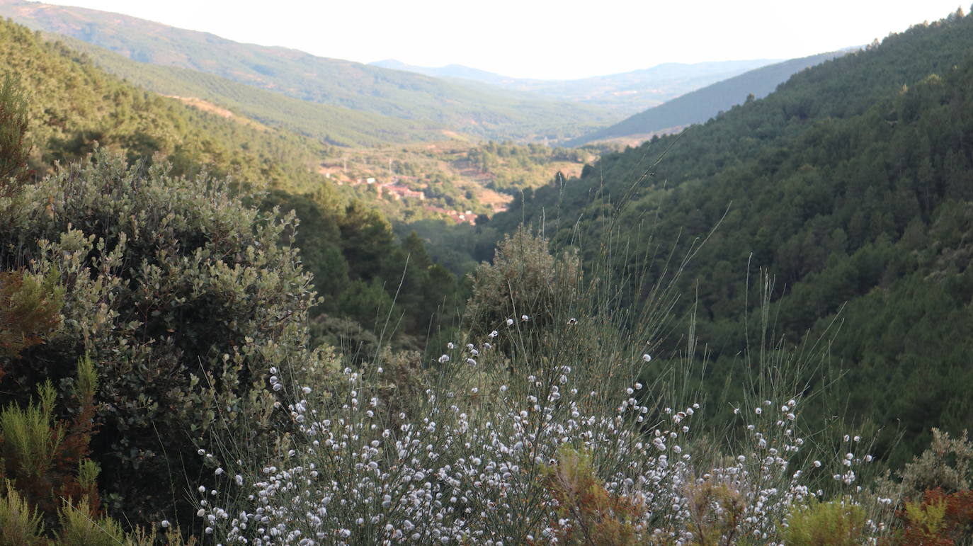 Esta calzada romana no es tan bien conservada como la del puerto de Santa Clara, en la misma comarca y que parte de San Martín de Trevejo. Esta ruta de Robledillo de Gata es igualmente interesante pero mucho más solitaria, de un encanto especial.