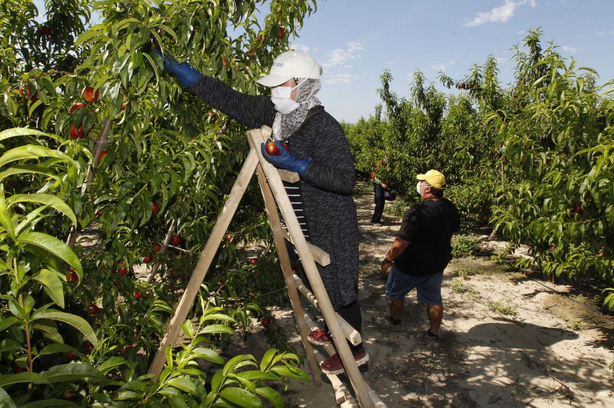 Menos del 10% de las explotaciones agrarias de titularidad compartida están en Extremadura. 